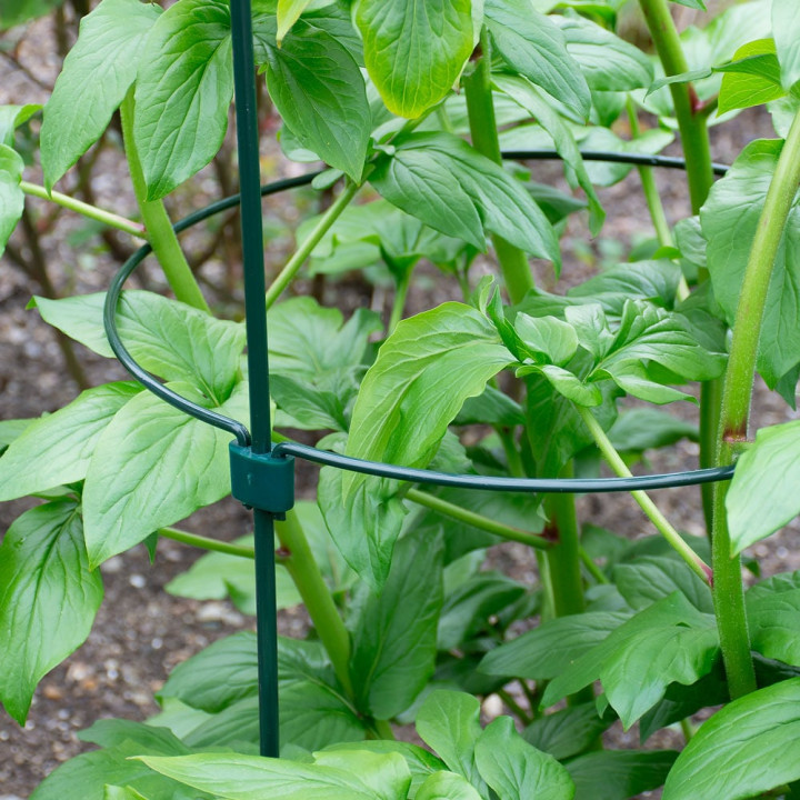Podpora do roślin z oczkiem śred.7cm / wys.90cm