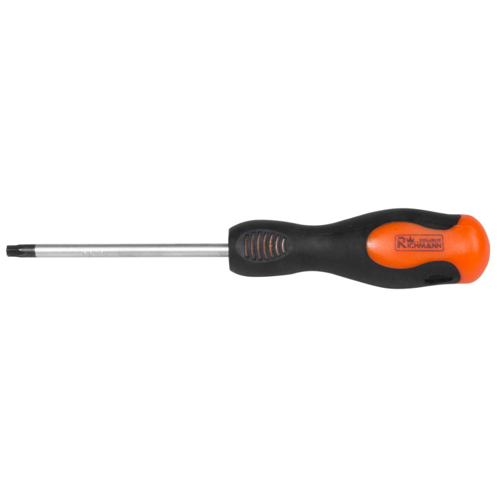 WKRĘTAK TORX T40x100 MM MM CR-MO