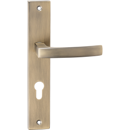 ASTER KLAMKA NA SZYLDZIE DłUGIM NA WKłADKĘ