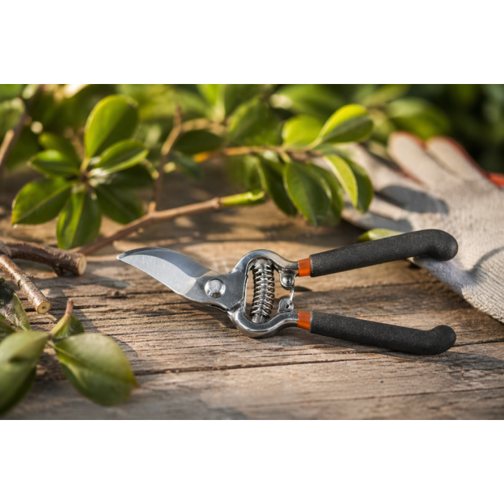 Sekator tradycyjny 8" CARBON-STEEL Bradas