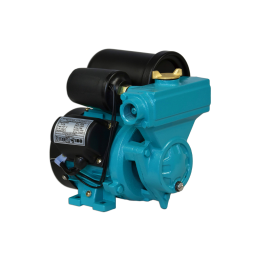 WZCH 100 HYDROFOR 1L