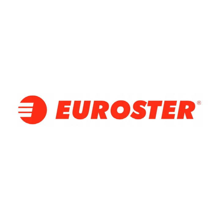 REGULATOR POKOJOWY STEROWNIK BEZPRZEWODOWY 4040 SMART WIFI BIAŁY EUROSTER
