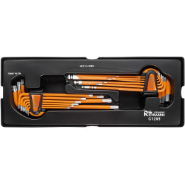 WKŁAD - IMBUSY 1.5-10 MM + TORX T10-T50, S2 18 ELEM. + TACKA C1101