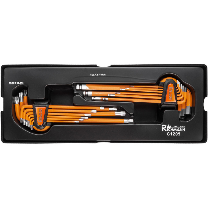WKŁAD - IMBUSY 1.5-10 MM + TORX T10-T50, S2 18 ELEM. + TACKA C1101