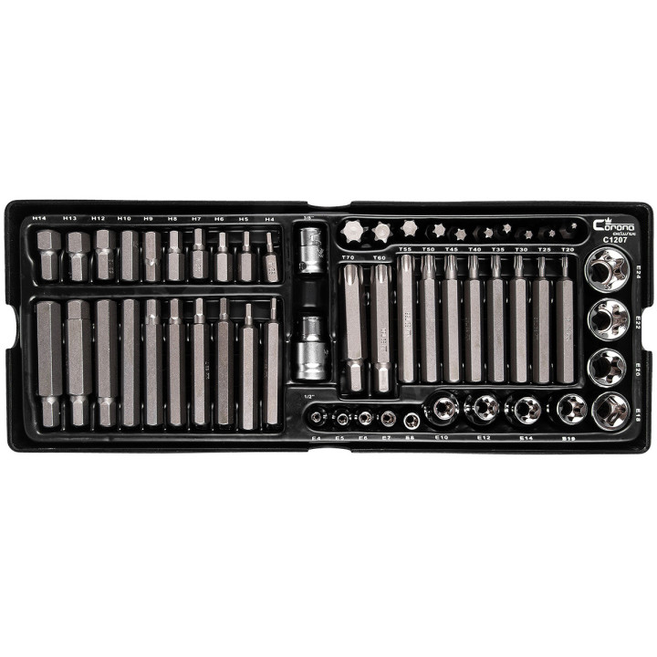 WKŁAD - ZESTAW BITÓW IMBUS H4-H14,TORX T20-T70 I NAS. TORX E4-E24,S2 55 ELEM. + TACKA C1101