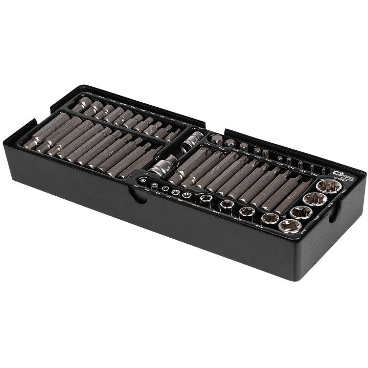 WKŁAD - ZESTAW BITÓW IMBUS H4-H14,TORX T20-T70 I NAS. TORX E4-E24,S2 55 ELEM. + TACKA C1101