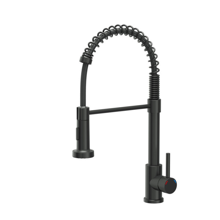 Bateria kuchenna SALMA - stalowa, pure carbon, obrotowa, ruchoma wylewka, z prysznicem, Quadron